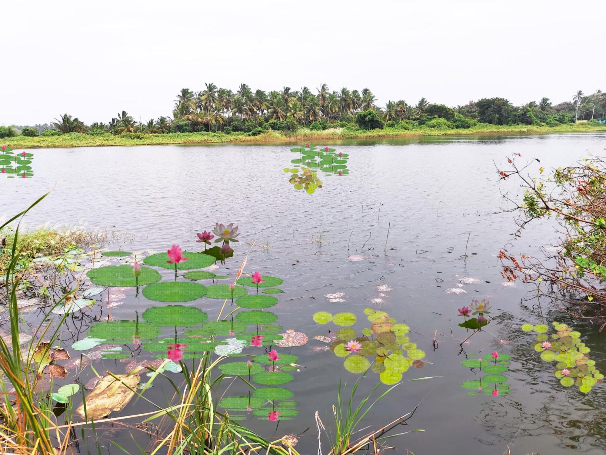 Hotel Sonia Mahi Inn Kanyakumari Bagian luar foto